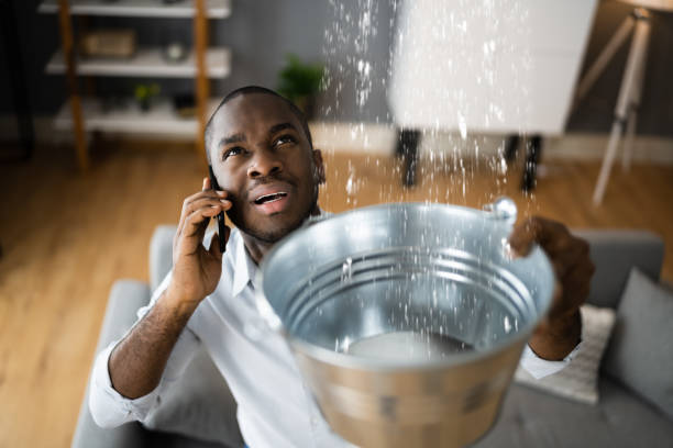 Best Water damage restoration near me  in Mundelein, IL