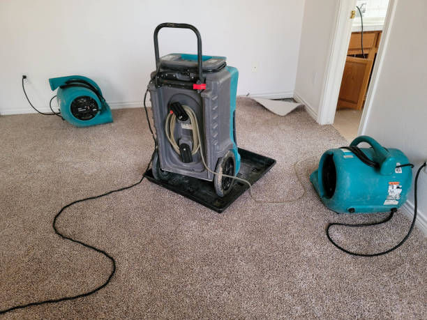 Best Water damage restoration near me  in Mundelein, IL