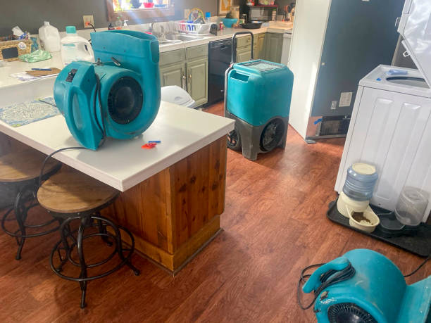 Best Emergency water damage restoration  in Mundelein, IL