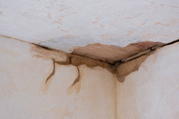 Best Water damage restoration process  in Mundelein, IL