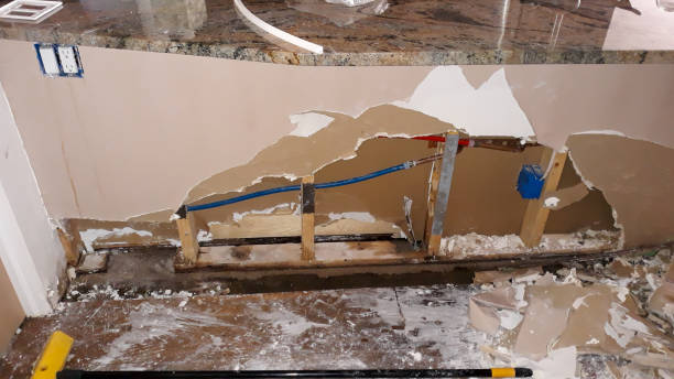 Best 24-hour water damage restoration  in Mundelein, IL