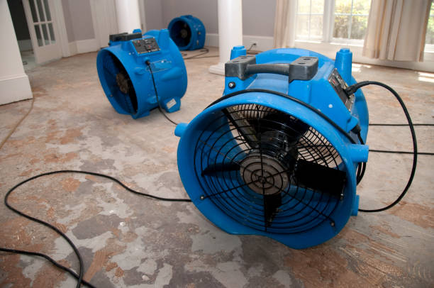 Best Flooded house restoration  in Mundelein, IL