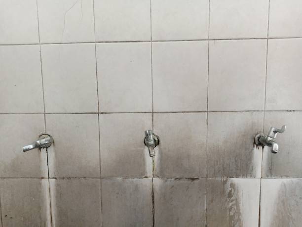 Best Water damage contractors near me  in Mundelein, IL