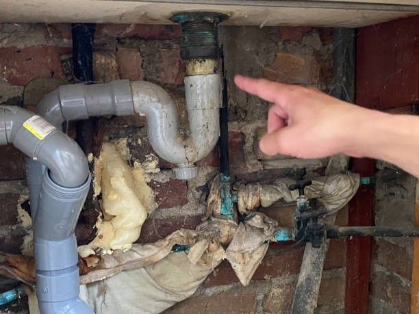 Best Flood damage cleanup  in Mundelein, IL