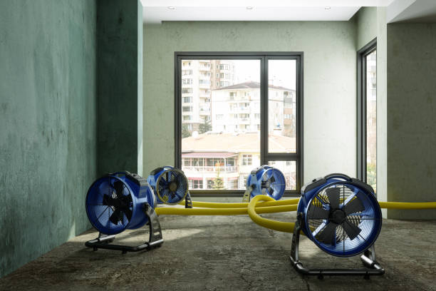 Best Water damage restoration services  in Mundelein, IL