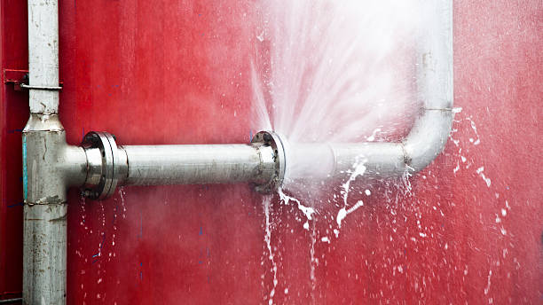 Best Flooded house restoration  in Mundelein, IL